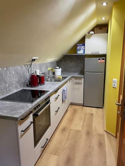 Neu Renoviertes 2Zi Appartment Im Dg Feldkirch Luaran gambar